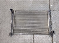  Радиатор охлаждения двигателя Ford Fusion 2002-2012 20251964 #1