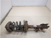  Амортизатор подвески Nissan X-Trail (T30) 2001-2006 20251991 #1