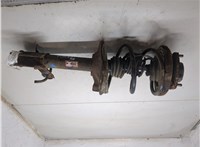  Амортизатор подвески Nissan X-Trail (T30) 2001-2006 20252044 #5