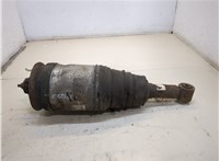  Амортизатор подвески Land Rover Discovery 3 2004-2009 20252422 #1