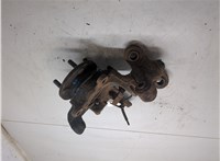  Ступица (кулак, цапфа) Nissan Primera P12 2002-2007 20252699 #3