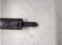 13537789661 Форсунка топливная BMW X5 E53 2000-2007 20253379 #7