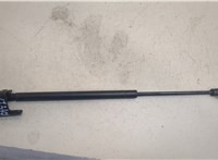  Амортизатор капота Nissan Pathfinder 1996-2005 20254222 #1