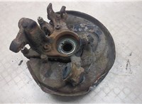  Ступица (кулак, цапфа) Audi A4 (B7) 2005-2007 20255555 #1