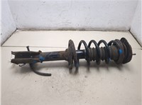 48510b4020 Амортизатор подвески Daihatsu Terios 2 2006-2018 20256345 #6