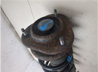 48510b4020 Амортизатор подвески Daihatsu Terios 2 2006-2018 20256345 #7