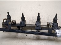  Форсунка топливная Skoda Octavia Tour 2000-2010 20256779 #1