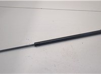  Амортизатор крышки багажника Acura RDX 2006-2015 20258079 #1