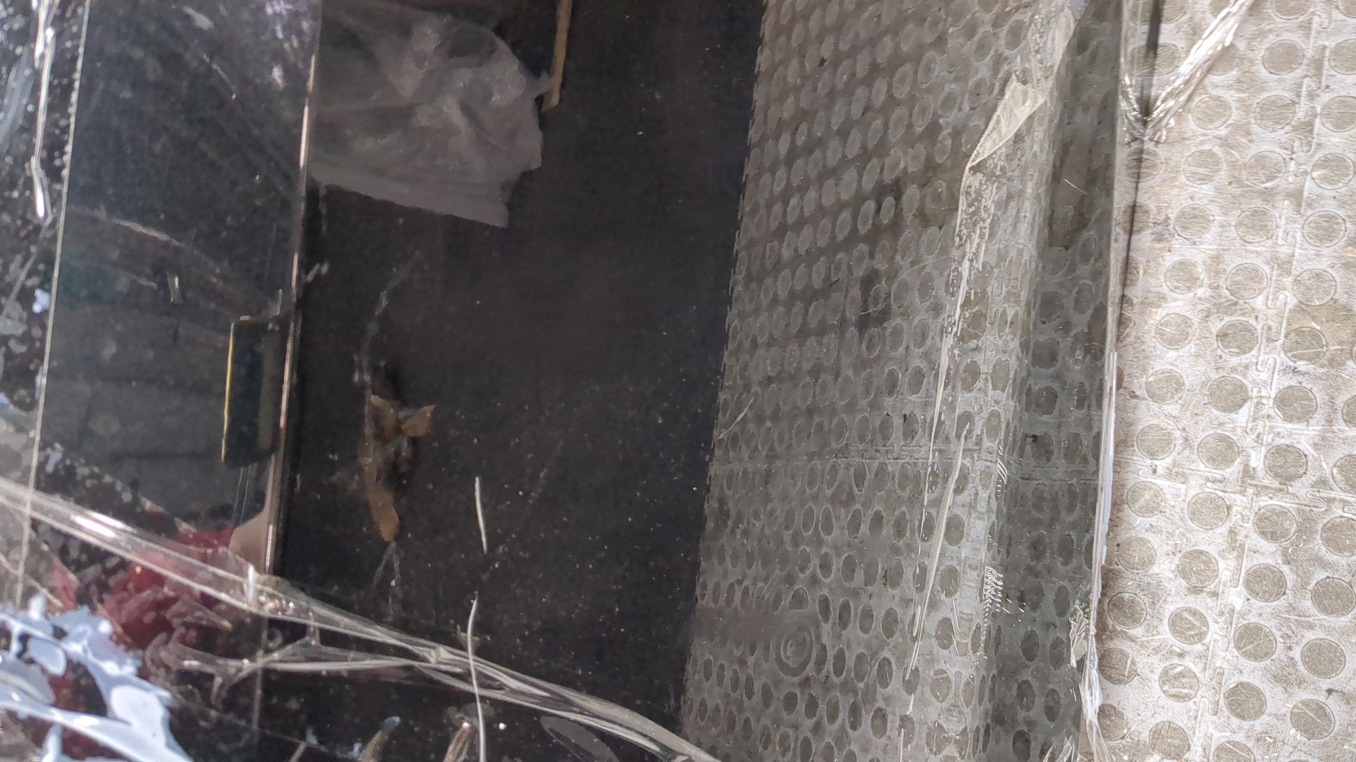 Дверь задняя левая