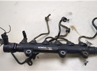  Рампа (рейка) топливная Renault Trafic 2001-2014 20258658 #4