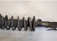  Амортизатор подвески Chevrolet Captiva 2006-2011 20259301 #1