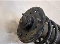  Амортизатор подвески Chevrolet Captiva 2006-2011 20259301 #3