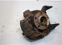  Ступица (кулак, цапфа) Volkswagen Golf 4 1997-2005 20259458 #1