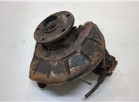 1K0407255AA, 5K0498621 Ступица (кулак, цапфа) Volkswagen Caddy 2004-2010 20259570 #1