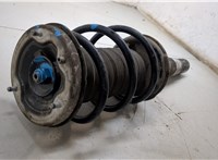 31316786531 Амортизатор подвески BMW 7 E65 2001-2008 20259841 #5