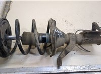  Амортизатор подвески Honda Civic 2001-2005 20259999 #1