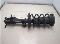  Амортизатор подвески Opel Vectra C 2002-2008 20260132 #4