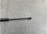  Амортизатор крышки багажника Chrysler Pacifica 2003-2008 20260405 #2