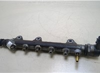 1752000Q3K Рампа (рейка) топливная Nissan X-Trail (T31) 2007-2015 20261339 #1