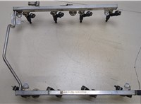  Форсунка топливная Mercedes GL X164 2006-2012 20261760 #5