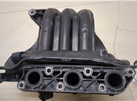  Коллектор впускной Skoda Fabia 2007-2010 20262327 #3