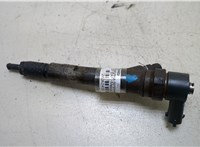  Форсунка топливная LDV (DAF) Maxus 20262418 #1