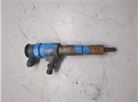  Форсунка топливная Peugeot 206 20263395 #1