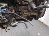  Двигатель (ДВС) Ford Transit (Tourneo) Connect 2002-2013 20263611 #11