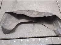  Защита арок (подкрылок) Renault Scenic 2003-2009 20263895 #1