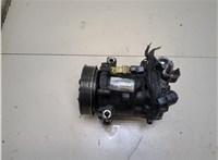  Компрессор кондиционера Peugeot 407 20264005 #1