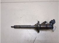  Форсунка топливная Peugeot 407 20264009 #1