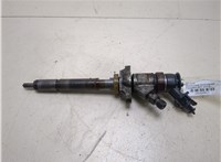  Форсунка топливная Peugeot 407 20264011 #1