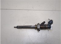  Форсунка топливная Peugeot 407 20264012 #1