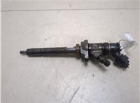  Форсунка топливная Peugeot 407 20264013 #1