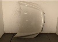  Капот Opel Antara 20264402 #1