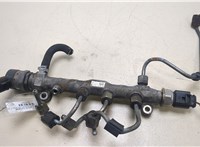  Рампа (рейка) топливная Skoda Octavia (A7) 2013-2017 20265965 #1