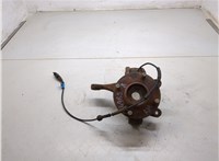  Ступица (кулак, цапфа) Ford Fusion 2002-2012 20266004 #1