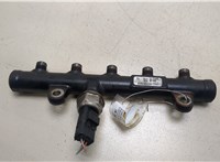  Рампа (рейка) топливная Citroen C4 Grand Picasso 2006-2013 20266242 #1