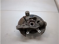  Ступица (кулак, цапфа) Infiniti EX35 20266590 #1