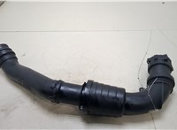 6670838 Патрубок интеркулера Renault Clio 2005-2009 20266613 #1