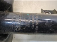  Амортизатор подвески Ford Escape 2001-2006 20266873 #3