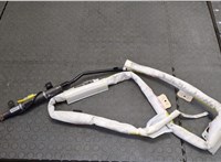  Подушка безопасности боковая (шторка) Hyundai Santa Fe 2005-2012 20266875 #1