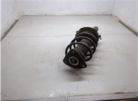 Амортизатор подвески Ford Focus 2 2008-2011 20267079 #3