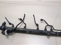  Рампа (рейка) топливная Mercedes Vito W639 2004-2013 20267083 #1