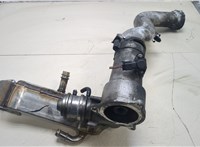  Клапан рециркуляции газов (EGR) Mercedes S W220 1998-2005 20267122 #1