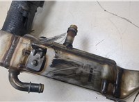  Клапан рециркуляции газов (EGR) Mercedes S W220 1998-2005 20267122 #4