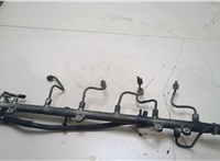  Рампа (рейка) топливная Mercedes S W220 1998-2005 20267133 #1