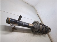  Амортизатор подвески Citroen Jumper (Relay) 2014- 20267436 #2