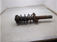  Амортизатор подвески Volkswagen Passat 6 2005-2010 20267552 #1