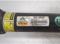  Амортизатор подвески Mercedes GL X164 2006-2012 20267682 #2